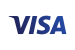 Visa_Inc.-Logo.wine